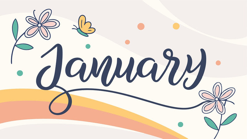 Jan Blog